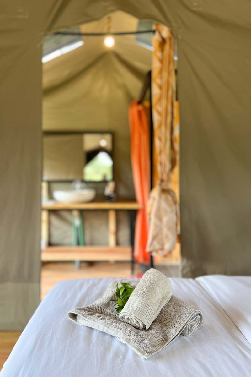 Safari in Kenia, in der Massai Mara