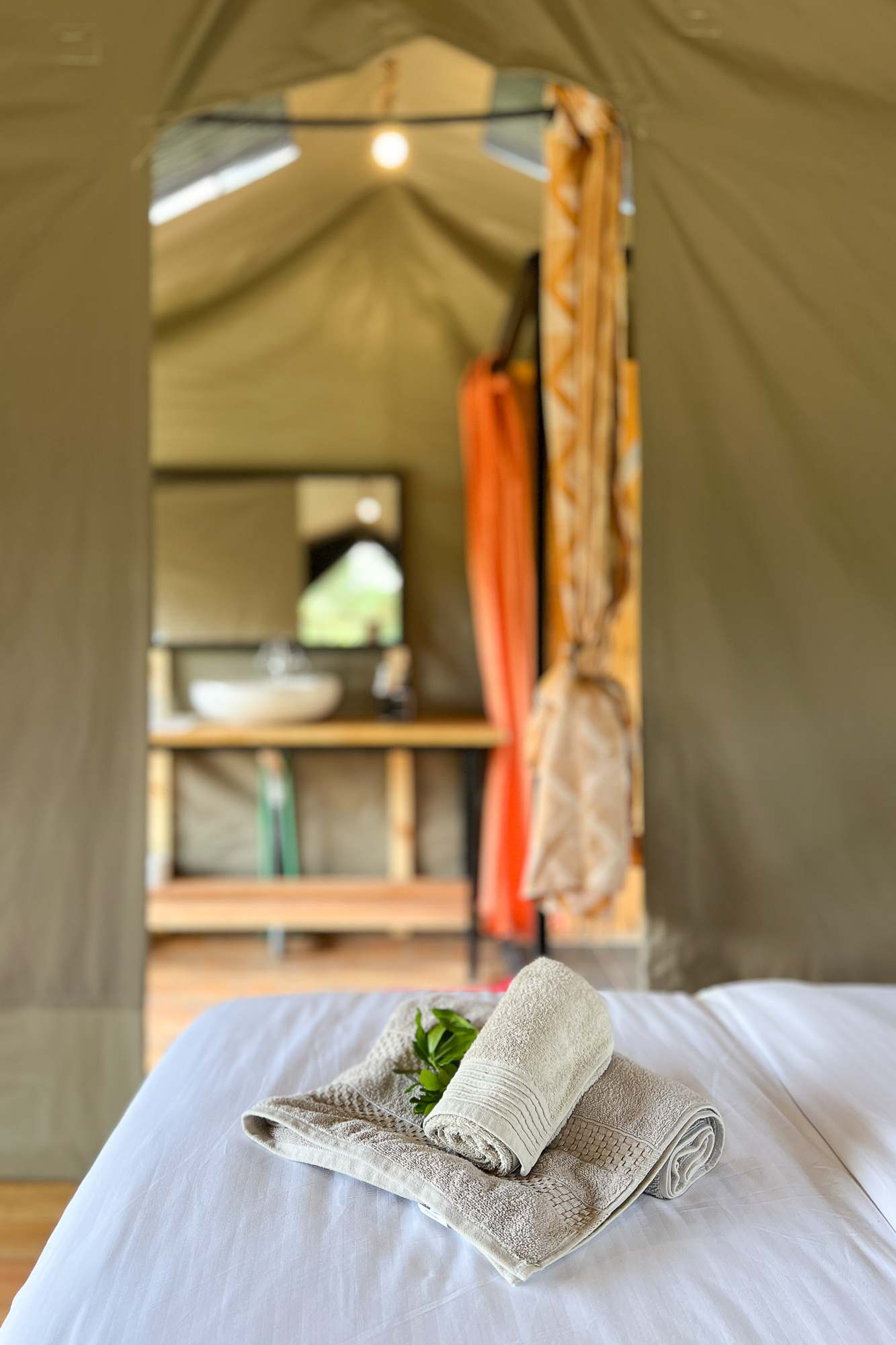 Safari in Kenia, in der Massai Mara