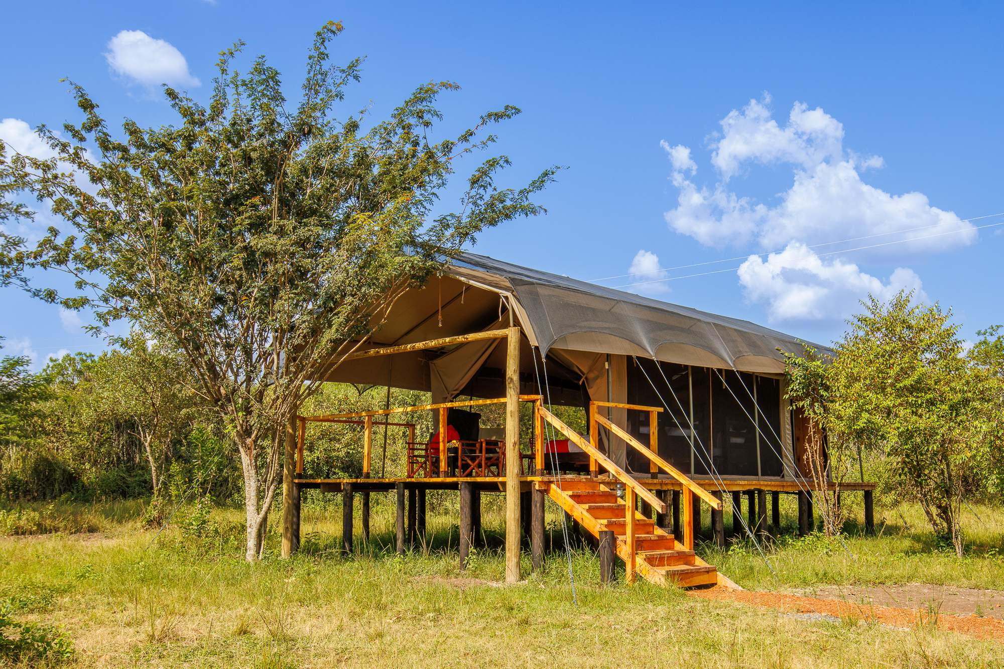 Safari in Kenia